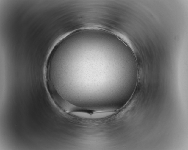 X0000094221003200711091252