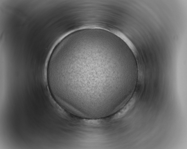 X0000094221004200711091252