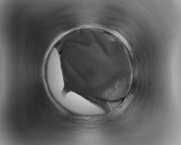 X0000094221005200711091252