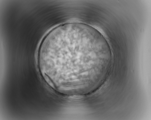 X0000094221008200711091252