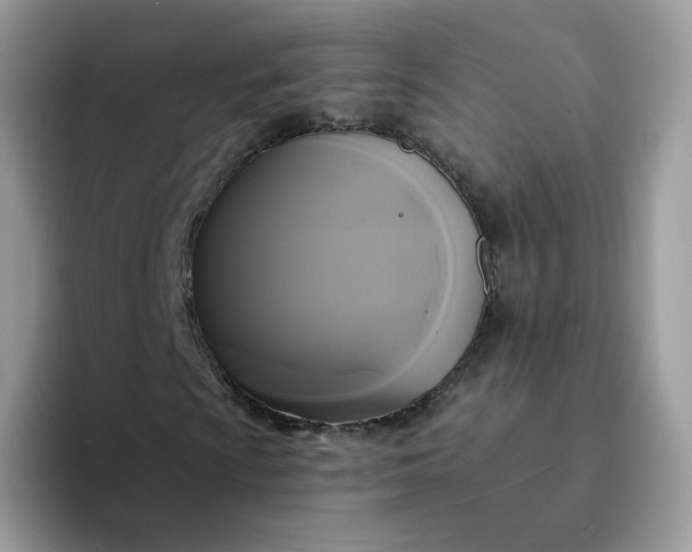 X0000094221009200711091252