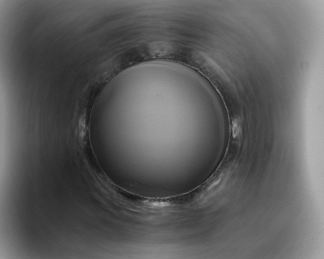 X0000094221011200711091252