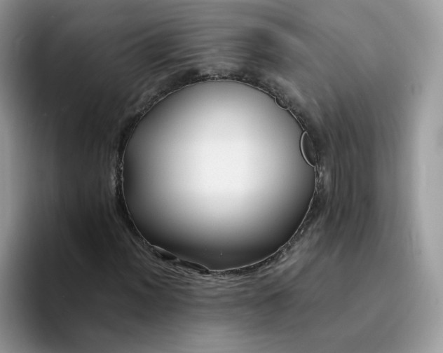 X0000094221012200711091252