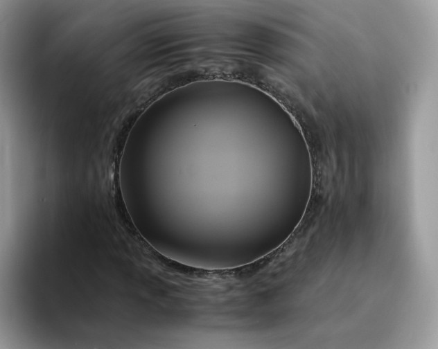 X0000094221013200711091252