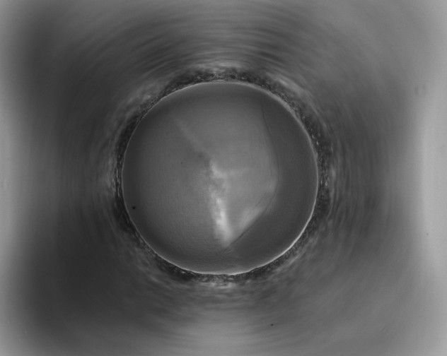 X0000094221014200711091252