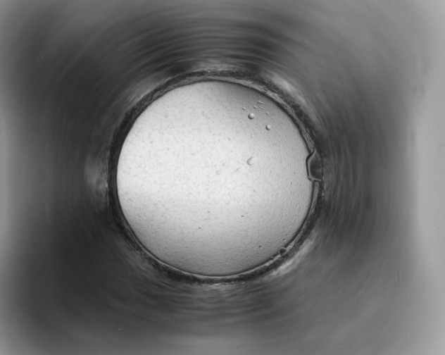 X0000094221017200711091252