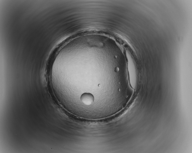 X0000094221018200711091252