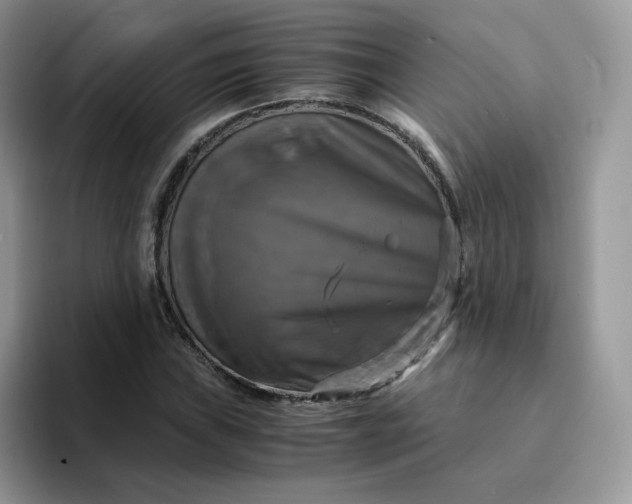 X0000094221019200711091252