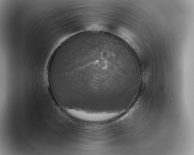 X0000094221022200711091252