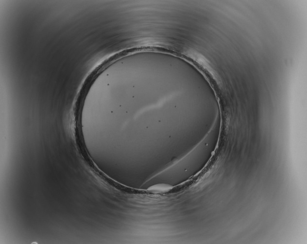 X0000094221024200711091252