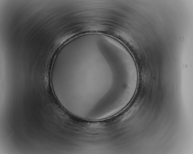 X0000094221025200711091252