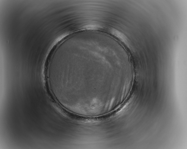 X0000094221026200711091252