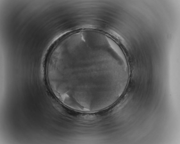 X0000094221027200711091252