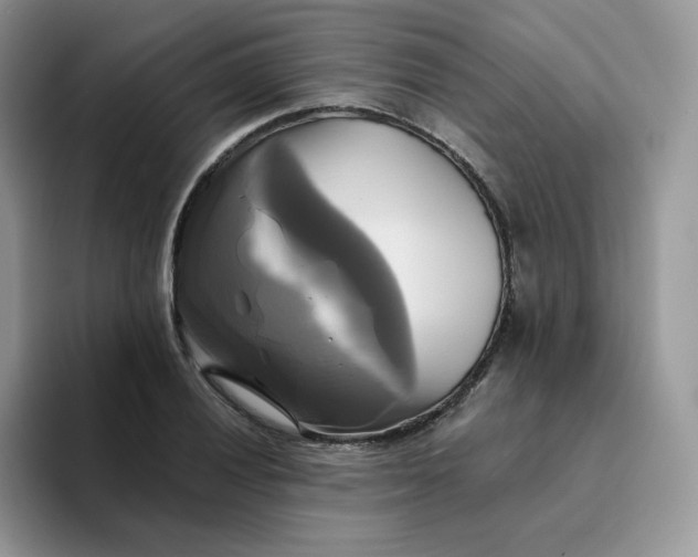 X0000094221028200711091252