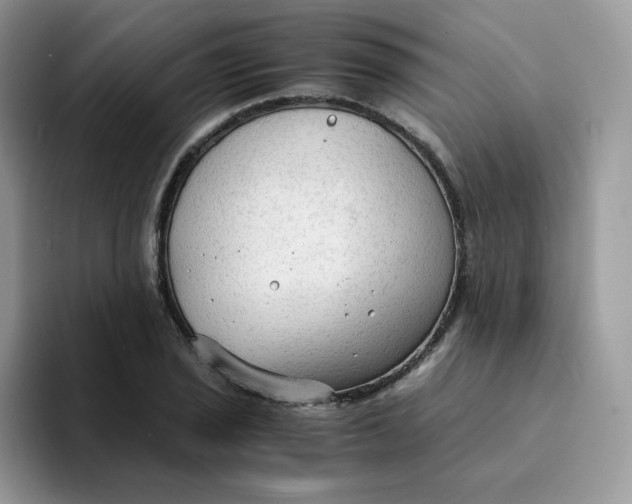 X0000094221029200711091252