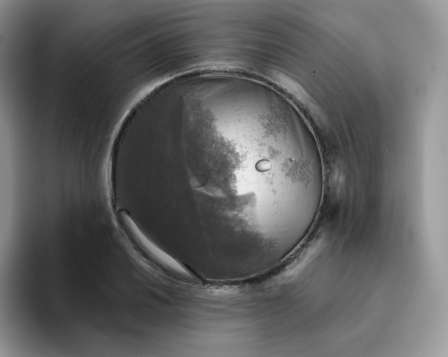 X0000094221030200711091252