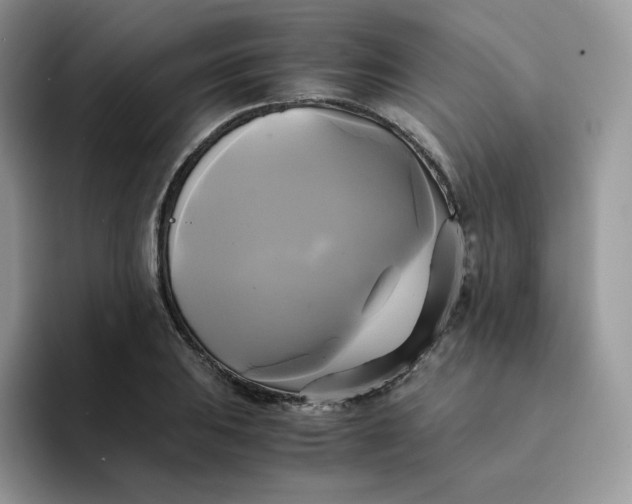 X0000094221031200711091252