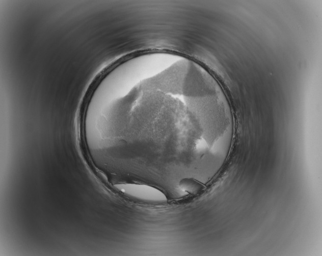 X0000094221032200711091252