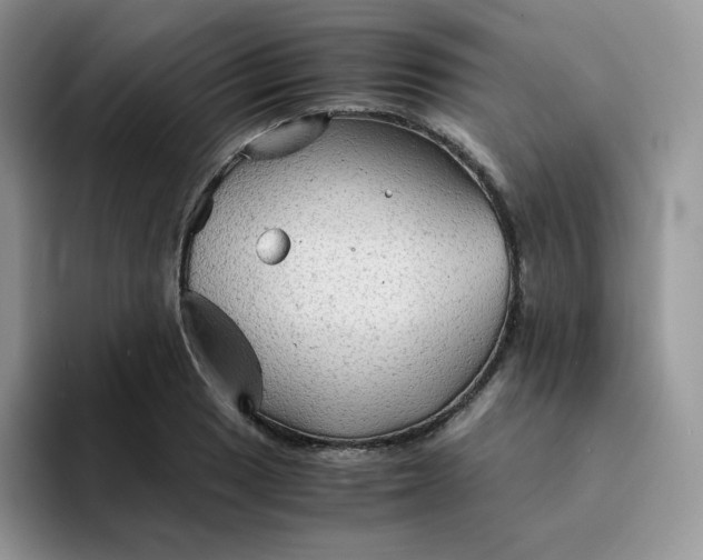 X0000094221033200711091252