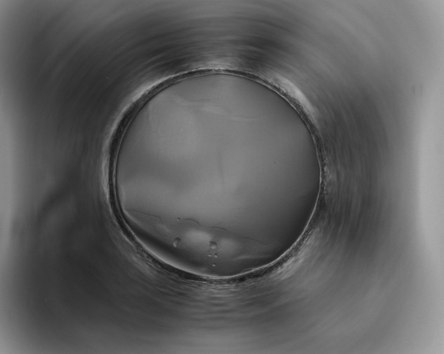 X0000094221035200711091252