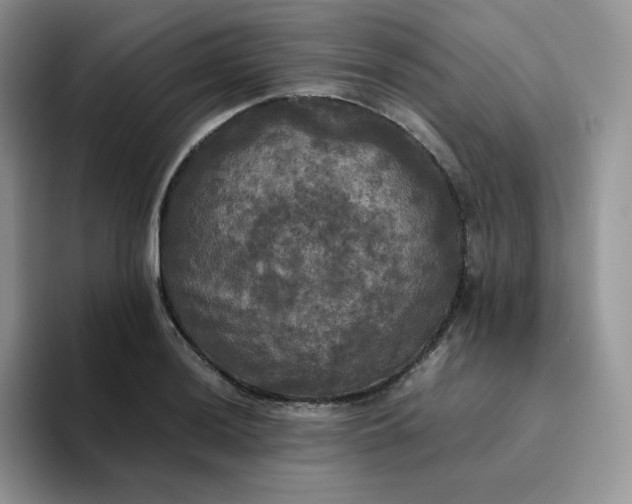 X0000094221036200711091252