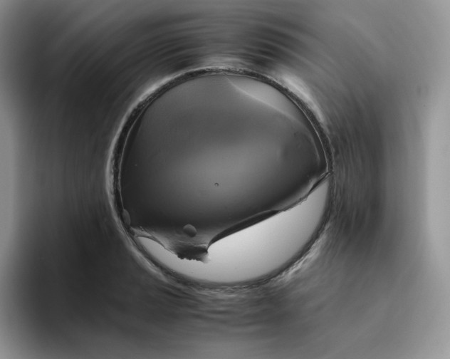 X0000094221037200711091252