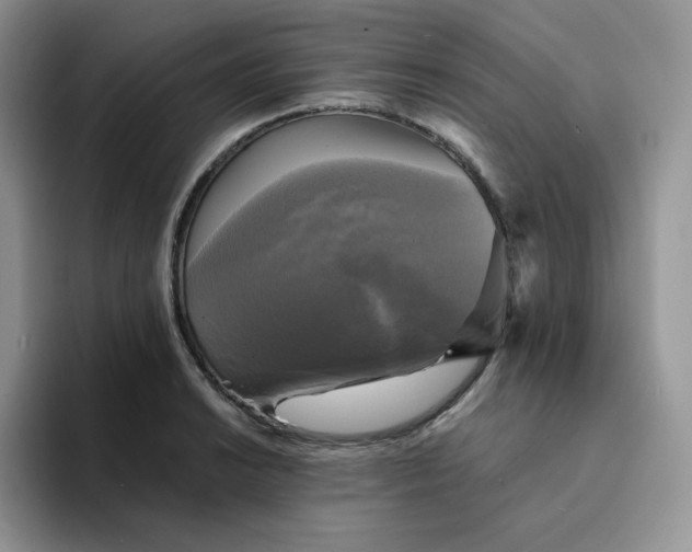 X0000094221038200711091252