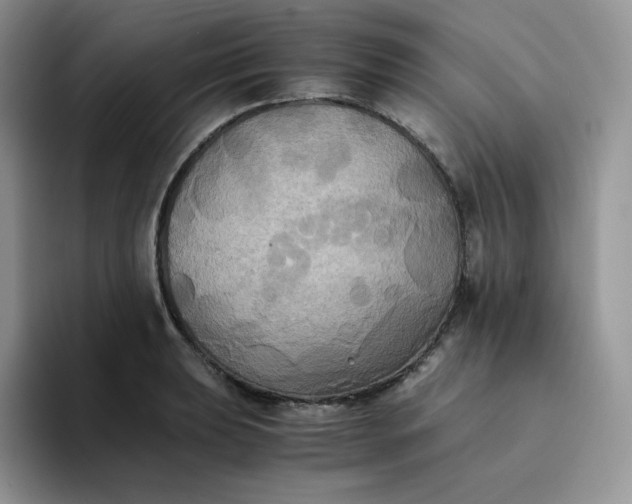 X0000094221039200711091252