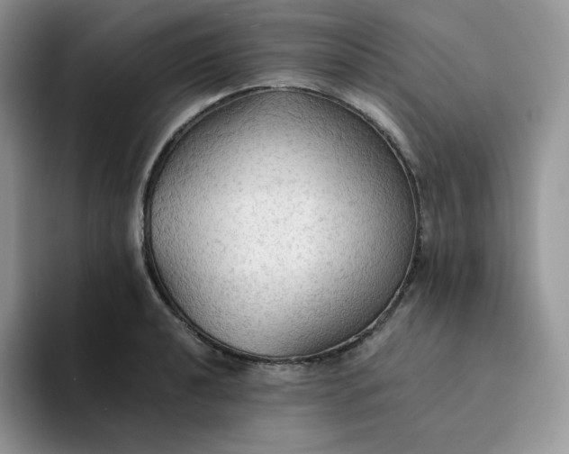 X0000094221040200711091252