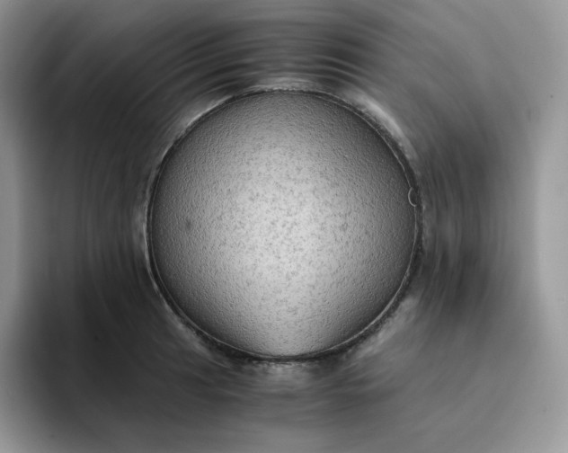 X0000094221041200711091252