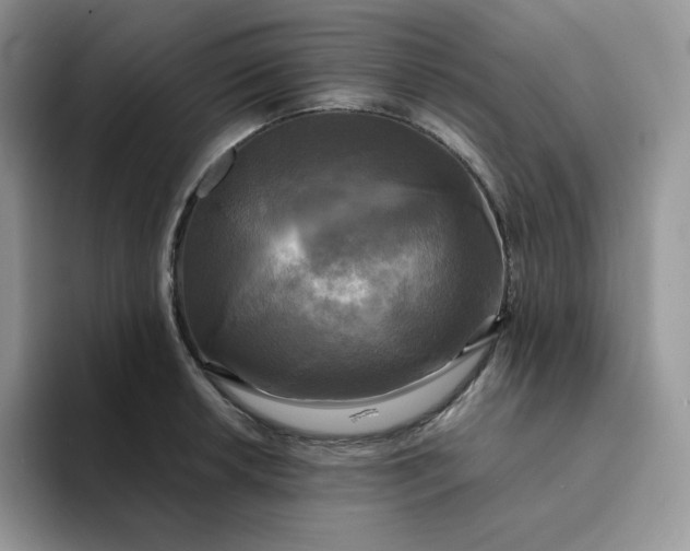 X0000094221042200711091252