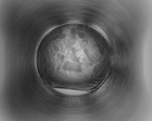 X0000094221043200711091252