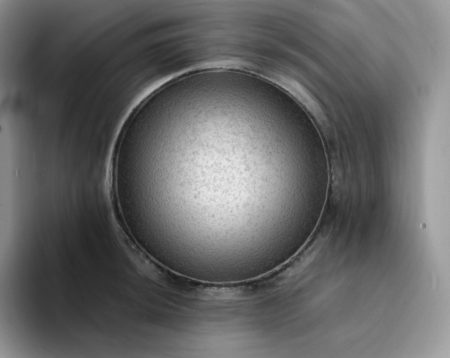 X0000094221044200711091252