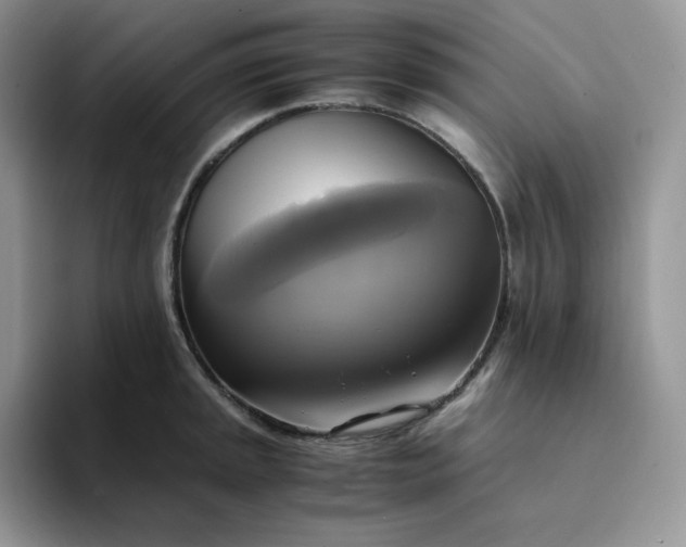 X0000094221045200711091252