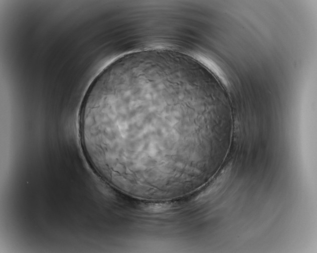 X0000094221047200711091252