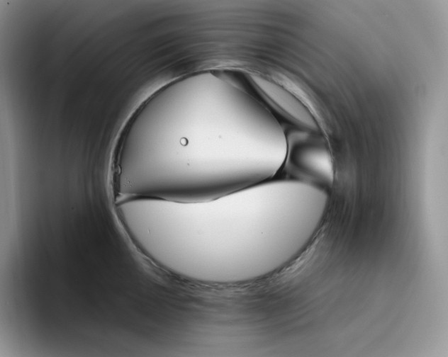 X0000094221050200711091252