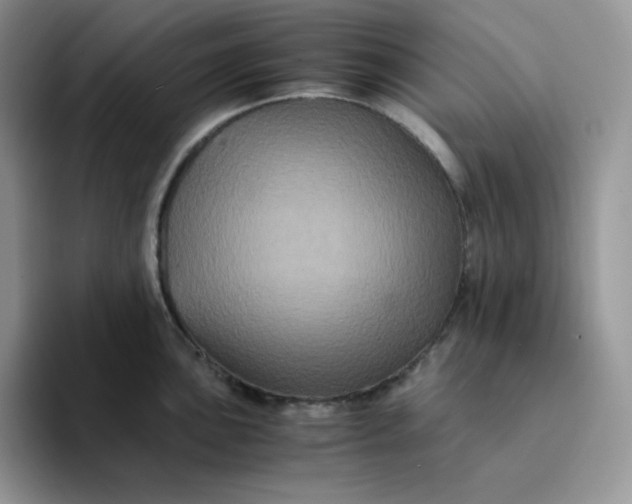 X0000094221051200711091252