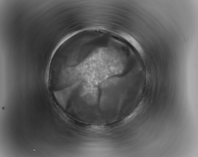 X0000094221052200711091252