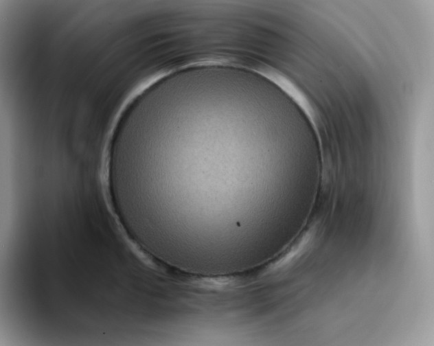 X0000094221053200711091252