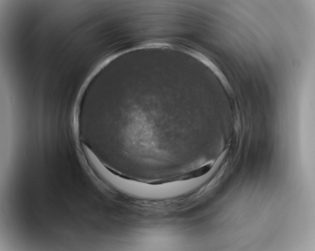 X0000094221054200711091252