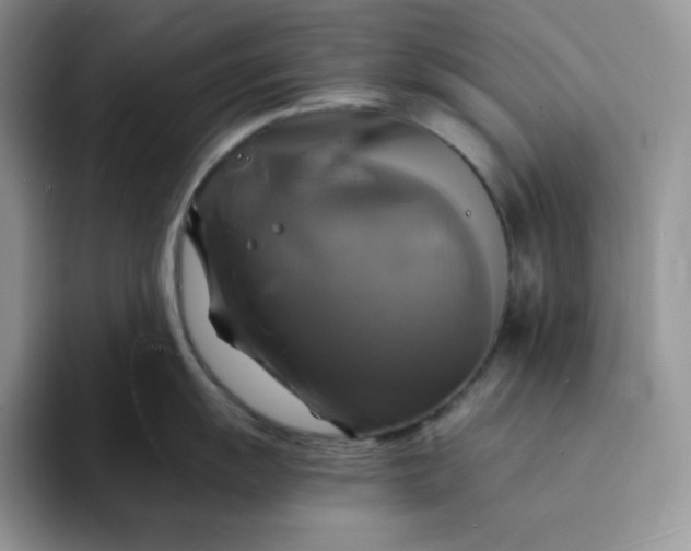 X0000094221055200711091252