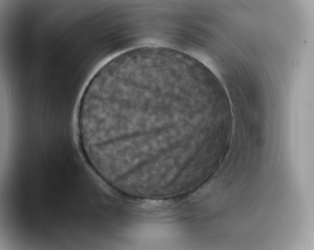 X0000094221056200711091252