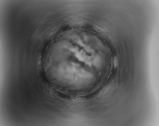 X0000094221059200711091252