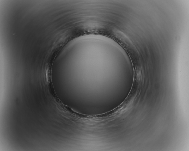 X0000094221060200711091252