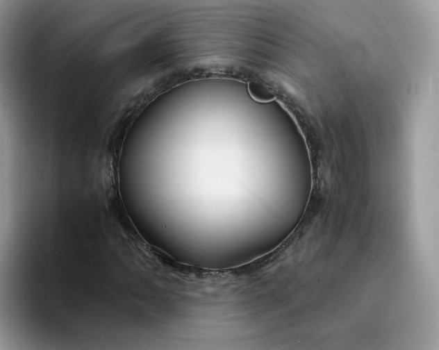 X0000094221062200711091252