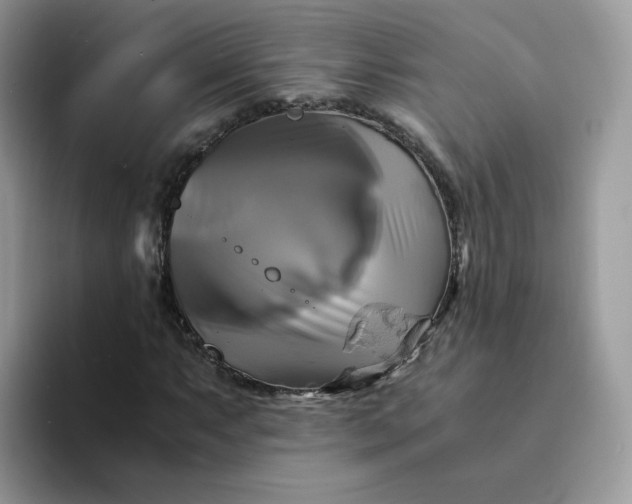 X0000094221063200711091252