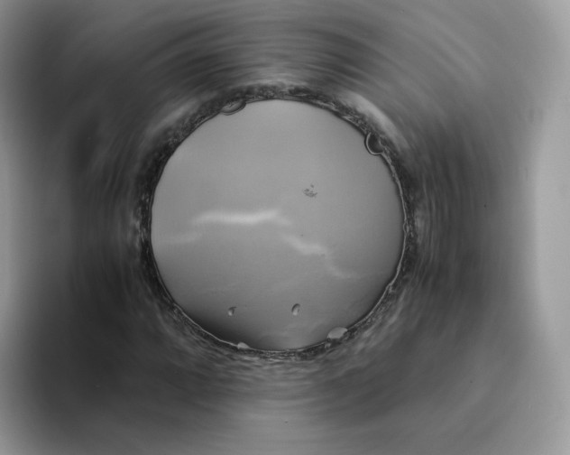 X0000094221064200711091252