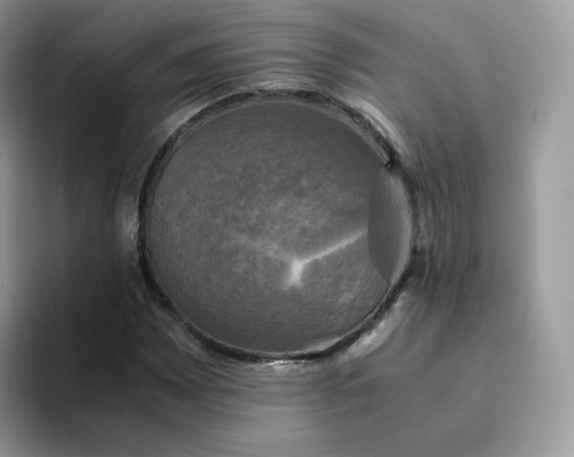 X0000094221065200711091252