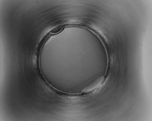 X0000094221066200711091252