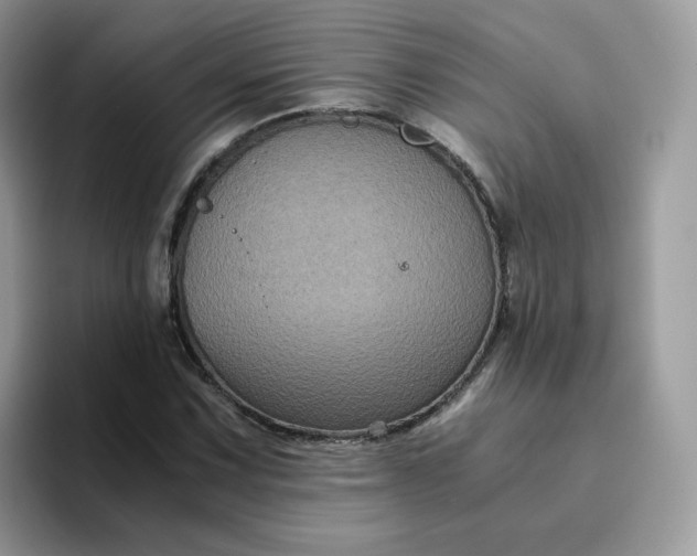 X0000094221067200711091252